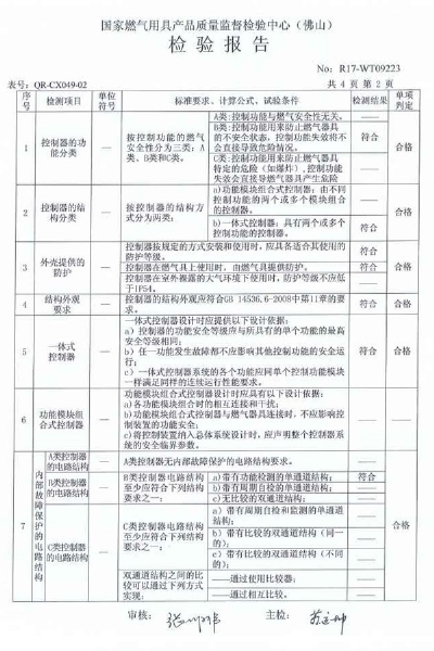 自动点火检验报告