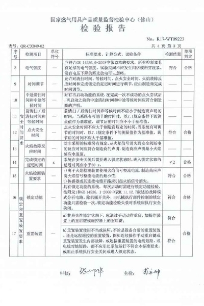 自动点火检验报告